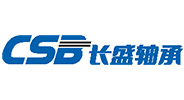 Zhejiang Changsheng Sliding Bearing Co., Ltd.