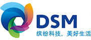 DSM Engineering Materials